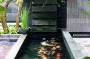 庭院设计效果图鱼池,庭院设计效果图鱼池图片
