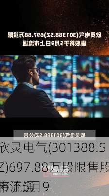 欣灵电气(301388.SZ)697.88万股限售股将于5月9
市流通